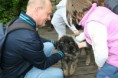 /album/budakeszi-vadaspark-a-fold-vilagnapja-alkalmabol-torteno-meghivasa-a-nagyragadozok-es-pasztorkutyak-forumnak-2014-aprilis-fotok-izabella-tandecki-/img-053-jpg/